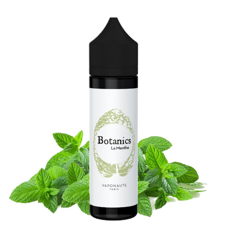 LA MENTHE