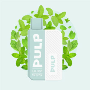 Menthe Verte ~ STARTER KIT ~ LE POD FLIP