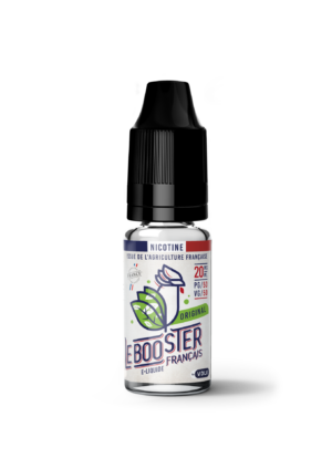 BOOSTER DE NICOTINE NICO FILL~ VDLV
